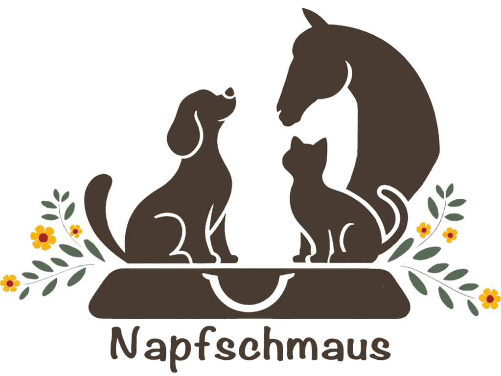 Logo Napfschmaus